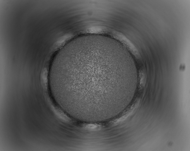 X0000103270542200809051509