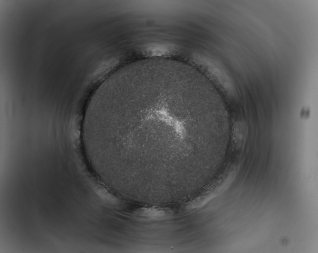 X0000103270545200809051509