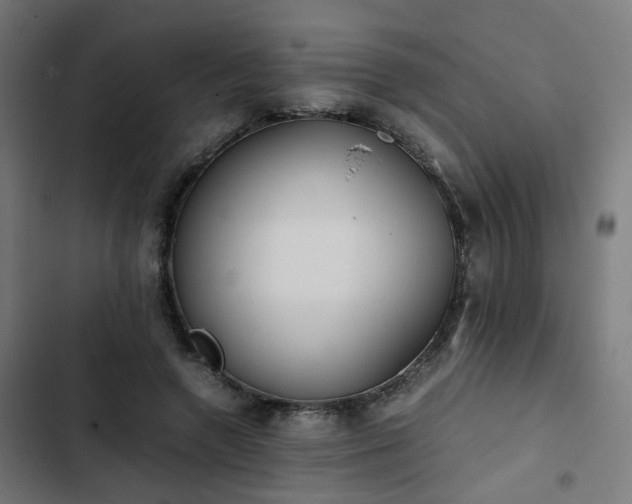 X0000103270546200809051509