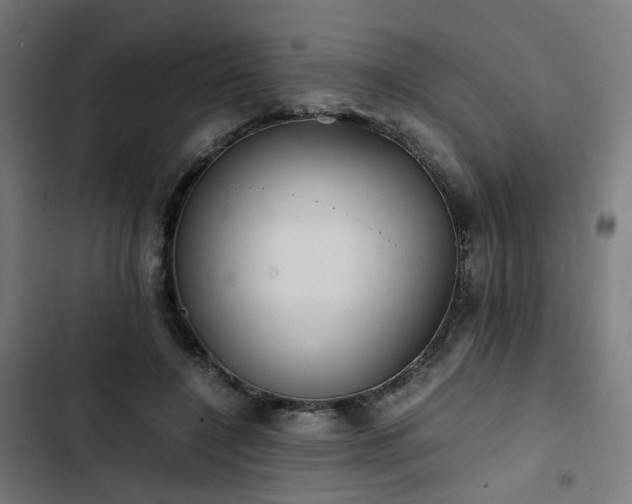 X0000103270548200809051509