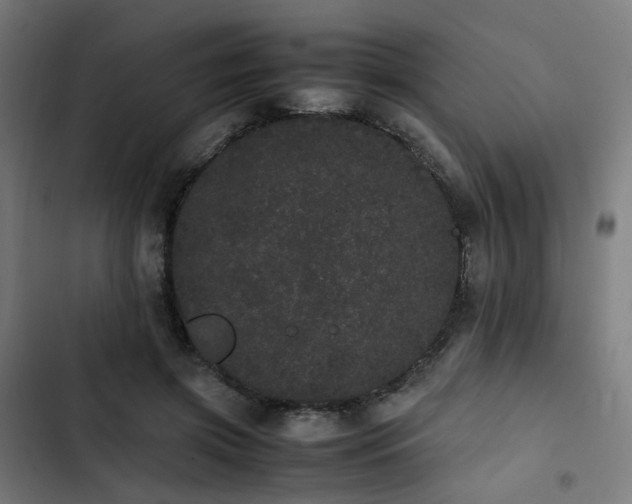 X0000103270549200809051509