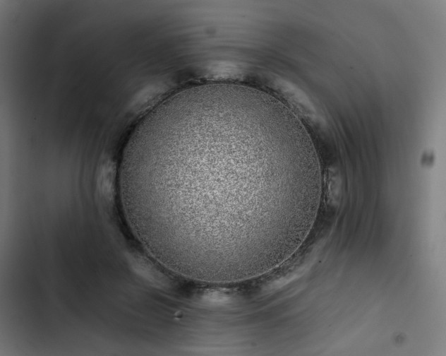 X0000103270550200809051509