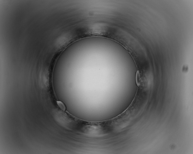 X0000103270552200809051510