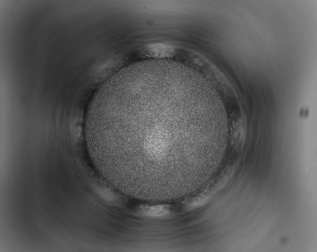 X0000103270553200809051510