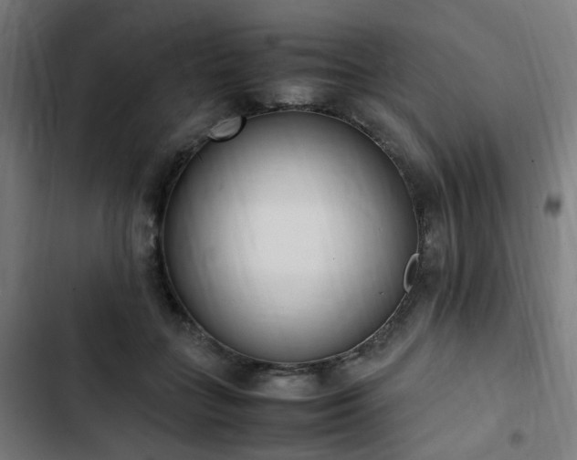 X0000103270555200809051510