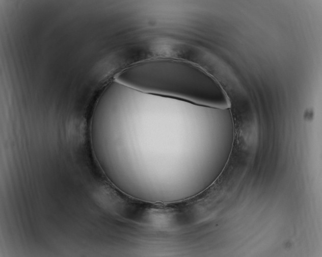 X0000103270556200809051510