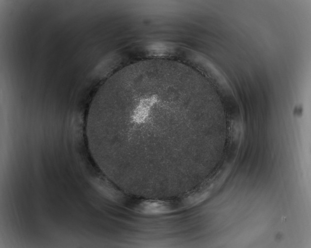 X0000103270557200809051510