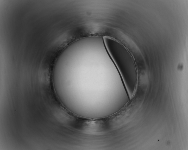 X0000103270558200809051510