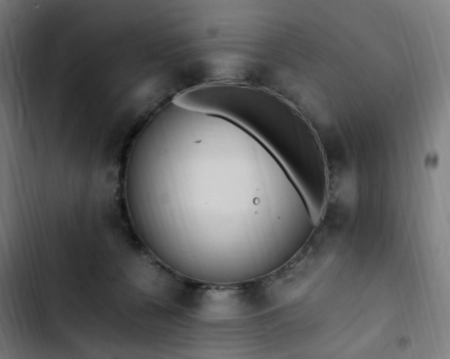 X0000103270560200809051510