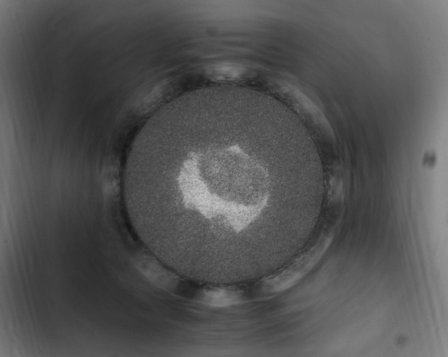 X0000103270561200809051510
