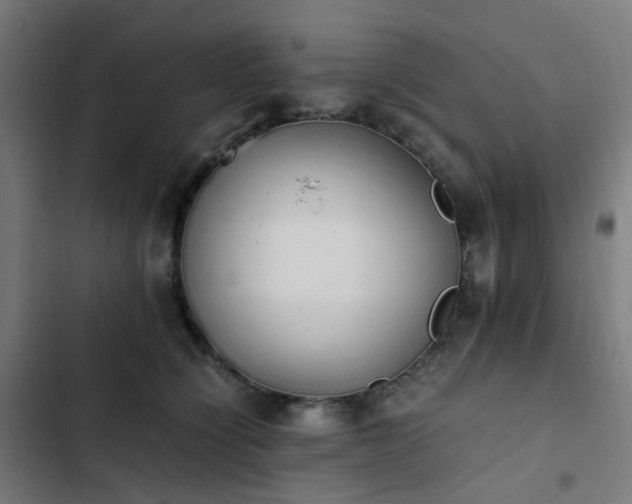 X0000103270564200809051510