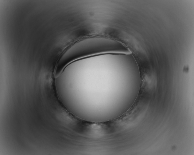 X0000103270566200809051510