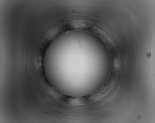 X0000103270567200809051510