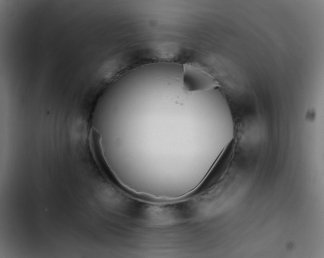 X0000103270568200809051510