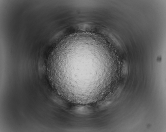 X0000103270569200809051510