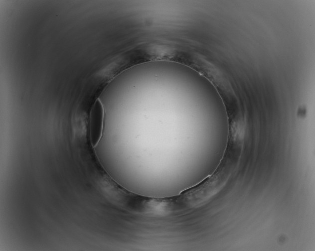 X0000103270570200809051510