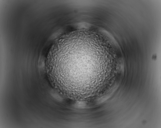 X0000103270573200809051510