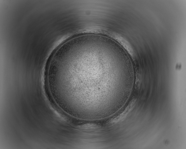 X0000103270578200809051509
