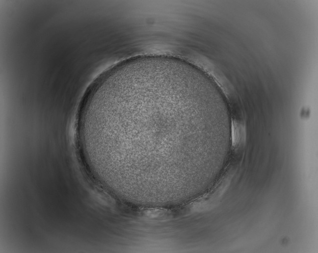 X0000103270579200809051509