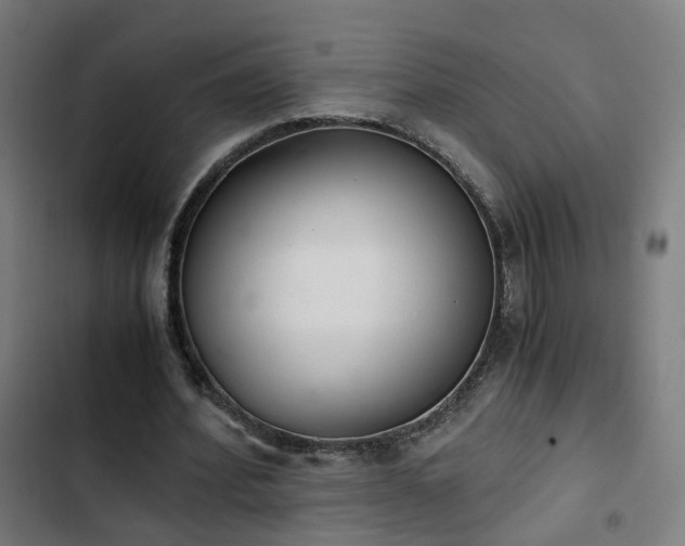 X0000103270580200809051509