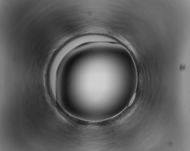 X0000103270581200809051509