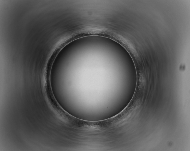 X0000103270582200809051509