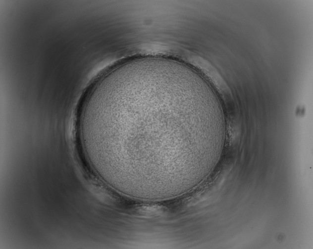 X0000103270583200809051509