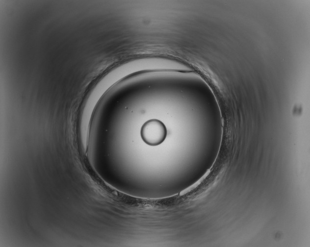 X0000103270585200809051509