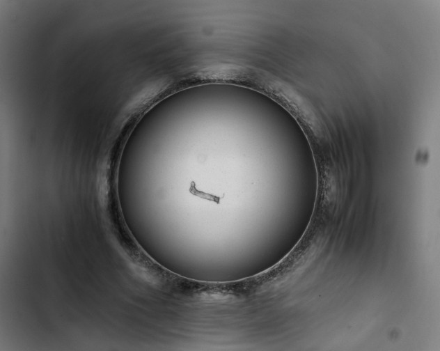 X0000103270586200809051509