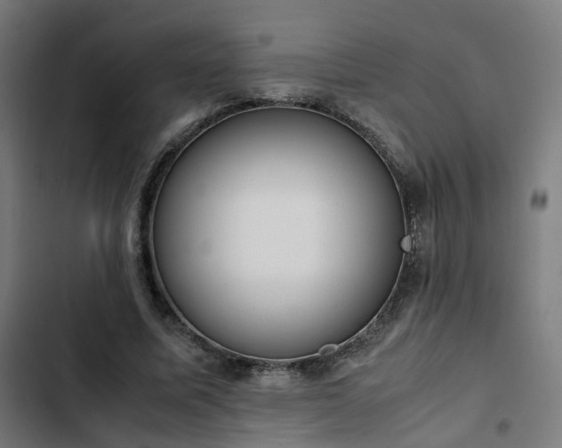 X0000103270587200809051509