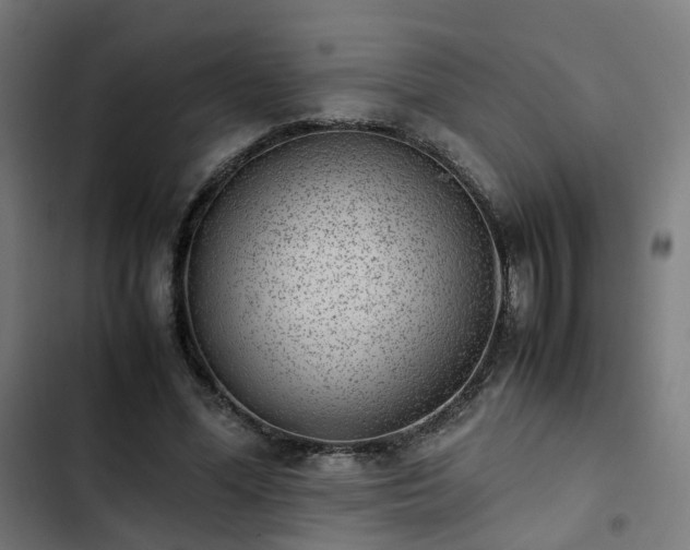 X0000103270588200809051509