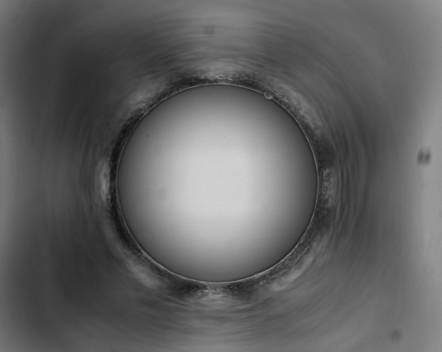 X0000103270589200809051509