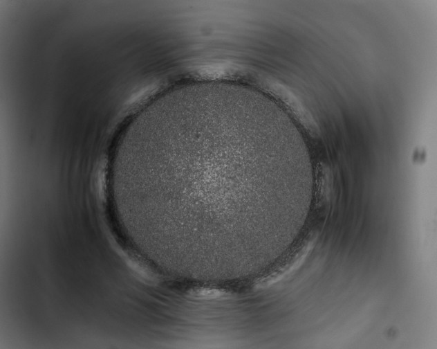 X0000103270590200809051509
