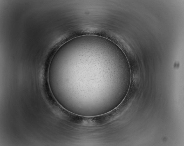X0000103270591200809051509