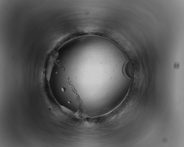 X0000103270592200809051509