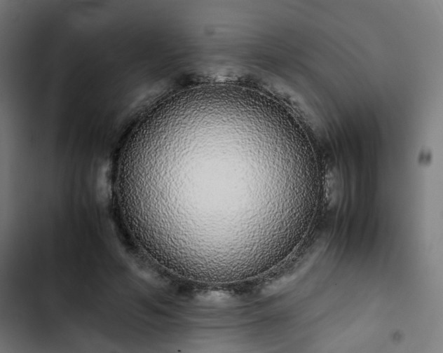 X0000103270594200809051509