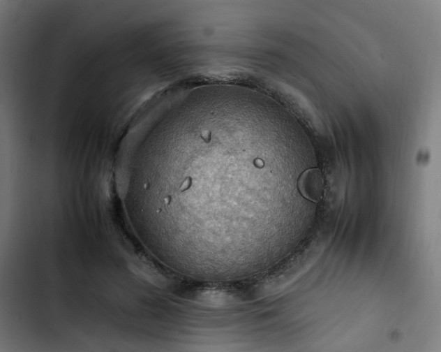 X0000103270596200809051509