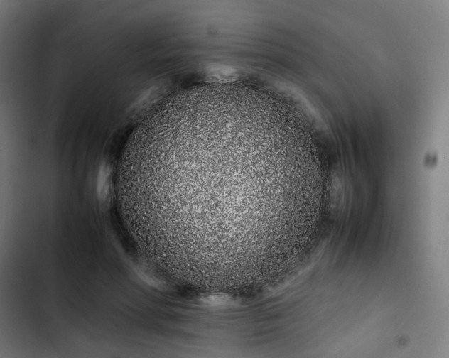 X0000103270598200809051509