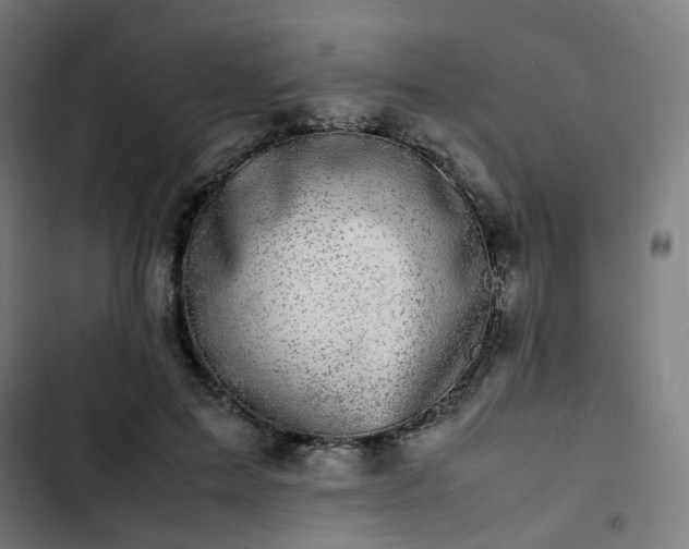 X0000103270599200809051509