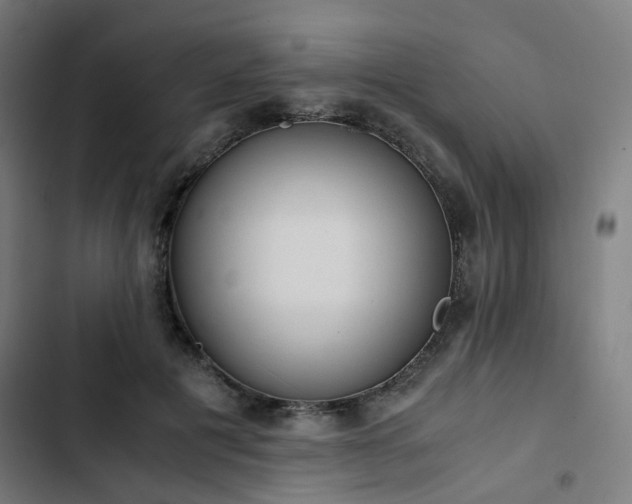X0000103270601200809051509