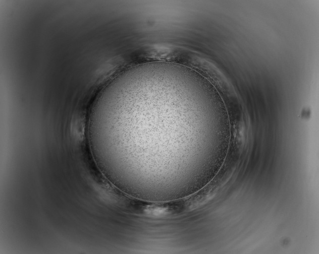 X0000103270602200809051509