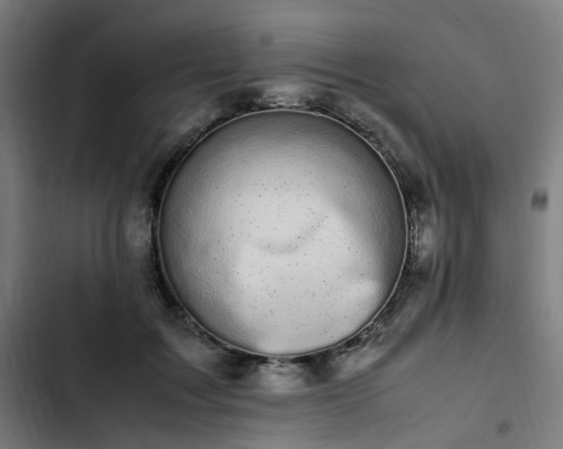 X0000103270603200809051509