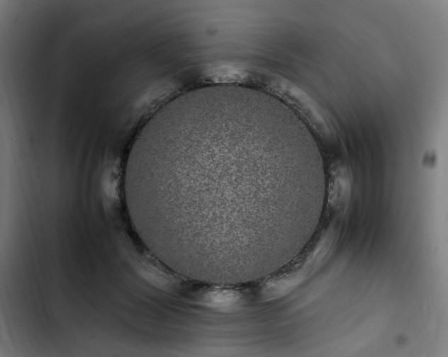X0000103270604200809051509