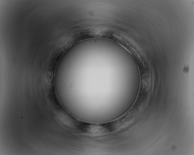 X0000103270605200809051509