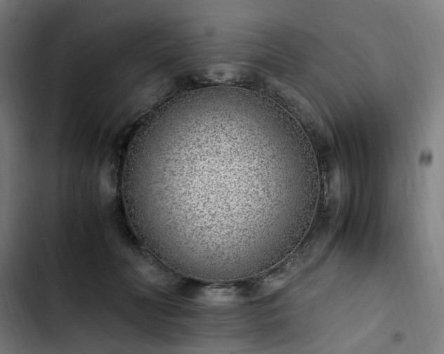 X0000103270606200809051509