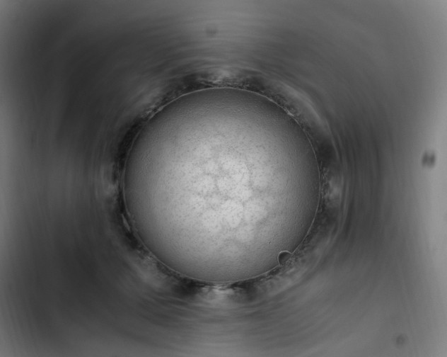 X0000103270607200809051509