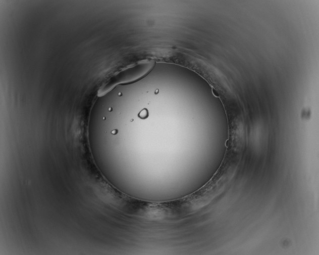 X0000103270608200809051509