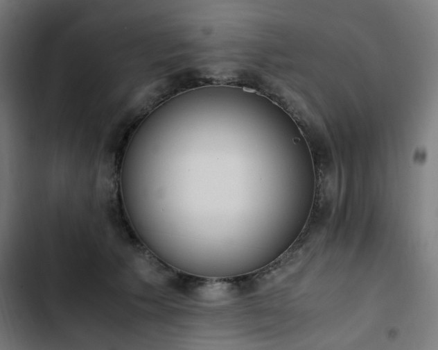X0000103270609200809051509