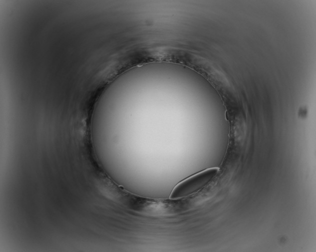 X0000103270611200809051509