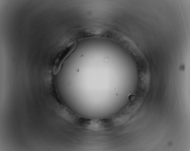 X0000103270612200809051509
